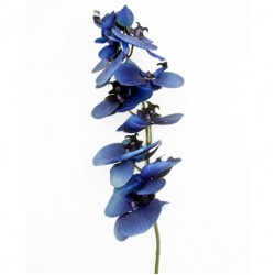 Silk Phalaenopsis Orchid Dark Blue 92cm - O024 J4