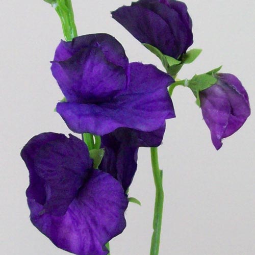 Sweet Peas Stem Purple 49cm - S069 U4