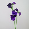 Sweet Peas Stem Purple 49cm - S069 U4