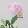 Silk Viburnum | Guelder Rose Pink - V014 R3