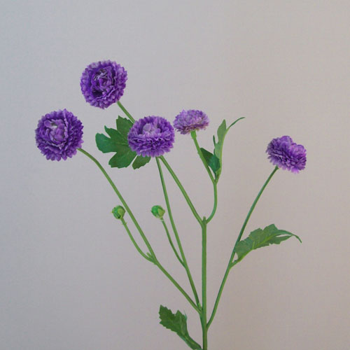 Artificial Button Asters Purple 58cm - A111 