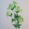 Artificial Astrantia Green Flowers 65cm - A106 A2 Artificial Astrantia Green Flowers 65cm - A106 A2