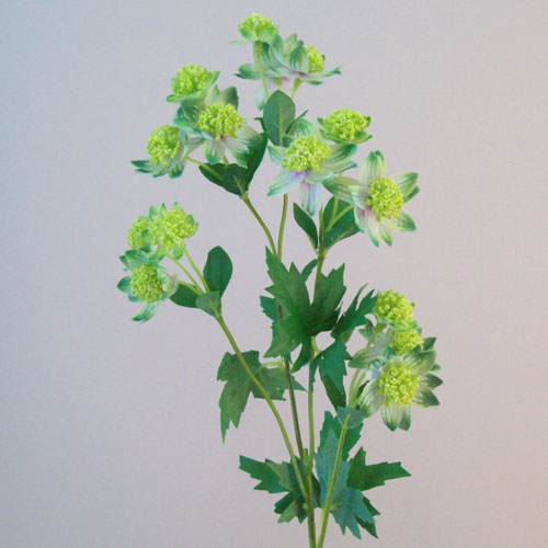 Artificial Astrantia Green Flowers 65cm - A106 A2 Artificial Astrantia Green Flowers 65cm - A106 A2