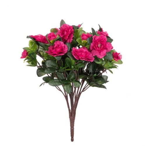 Azalea Plants Hot Pink 36cm - A153 