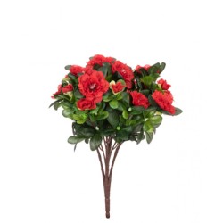 Azalea Plants Red 36cm -  A150 B4