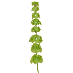 Artificial Bells of Ireland 74cm - B097 M2