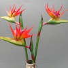 Artificial Birds of Paradise Medium Red Orange 80cm - B052 