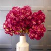 Artificial Cherry Blossom Branch Dark Pink 73cm - B093 B1 Artificial Cherry Blossom Branch Dark Pink 73cm - B093 B1