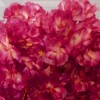 Artificial Cherry Blossom Branch Dark Pink 73cm - B093 B1 Artificial Cherry Blossom Branch Dark Pink 73cm - B093 B1