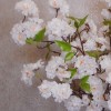 Artificial Cherry Blossom Branch White 75cm - B034 B2