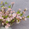 Artificial Cherry Blossom Branch Pale Pink Short Stem 48cm - B037 S3