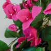 Artificial Trailing Bougainvillea Plant Hot Pink 60cm - B057 B3