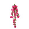 Trailing Bougainvillea Plant Hot Pink 122cm - B006 B1 Trailing Bougainvillea Plant Hot Pink 122cm - B006 B1