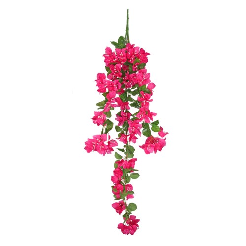 Trailing Bougainvillea Plant Hot Pink 122cm - B006 B1 Trailing Bougainvillea Plant Hot Pink 122cm - B006 B1