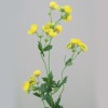 Silk Buttercups 80cm - B003 A3