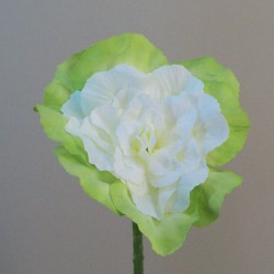 Artificial Ornamental Cabbage Cream Green Short Stem 45cm - C227 BX14