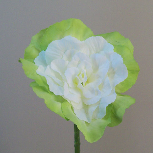 Artificial Ornamental Cabbage Cream Green Short Stem 45cm - C227 BX14
