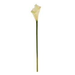 Artificial Calla Lilies Real Touch Medium Cream 60cm  - C184 COMING SOON