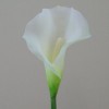 Artificial Calla Lilies Real Touch Medium Cream 66cm  - C157 D4