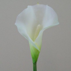 Artificial Calla Lilies Real Touch Medium Cream 66cm  - C157 D3