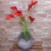 Artificial Calla Lily Red 71cm - L120 K1