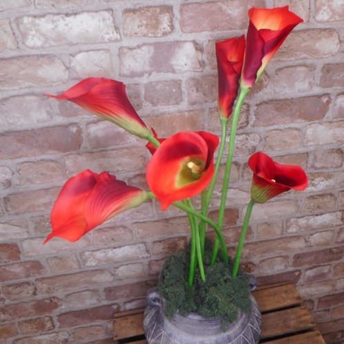 Artificial Calla Lily Red 71cm - L120 K1