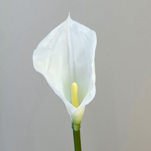 Artificial Calla Lilies Real Touch Medium Ivory 60cm  - C184 B3
