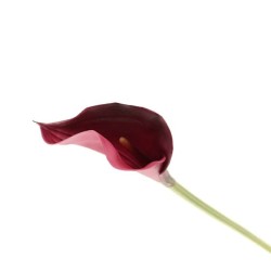 Artificial Calla Lilies Real Touch Aubergine Plum 72cm - L120