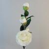 Artificial Camellias Cream 58cm - C118 A4 Artificial Camellias Cream 58cm - C118 A4