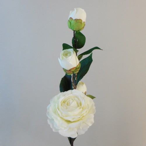 Artificial Camellias Cream 58cm - C118 A4 Artificial Camellias Cream 58cm - C118 A4