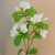 Artificial Bellflowers White 47cm - B033 B3
