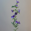 Artificial Campanula Bell Flowers Purple 88cm - C102 G3