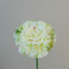 Silk Carnation Cream and Green 38cm - C003 B4