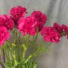 Silk Carnation Cerise Pink 60cm - C023 B3