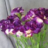 Silk Carnation Purple 60cm - C009 D2