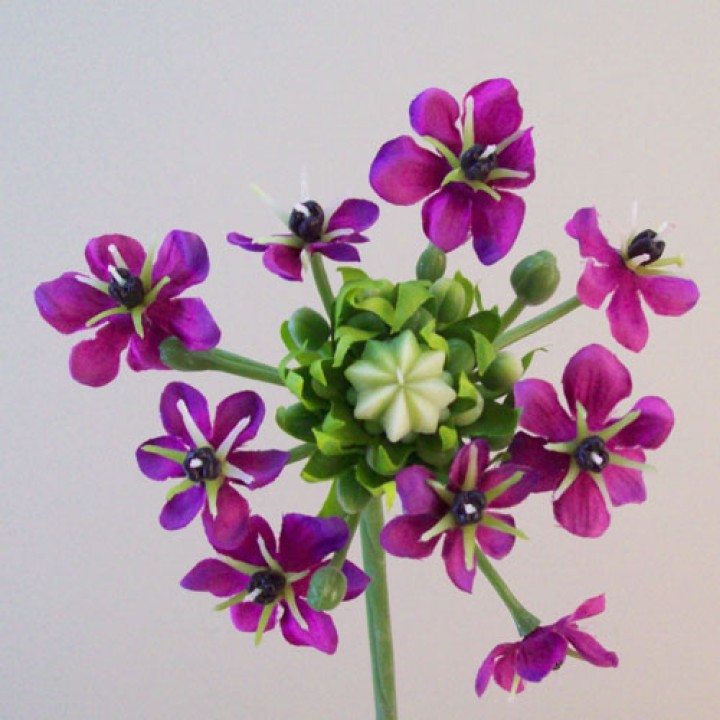 Other Flowers Other Flowers