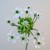 Artificial Chincherinchee Flowers White 63cm - C228 A3