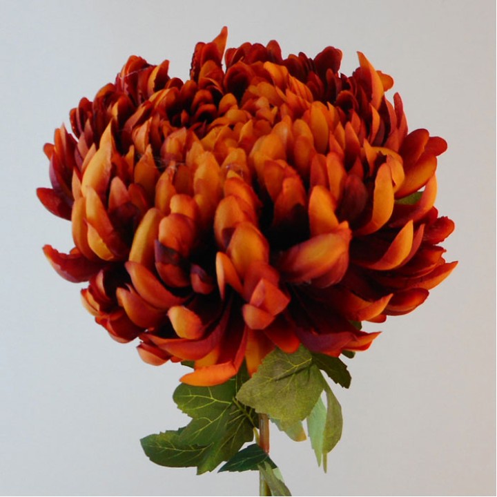 Autumn Flowers