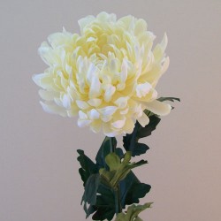 Artificial Bloom Chrysanthemums Cream 90cm - C181 D1