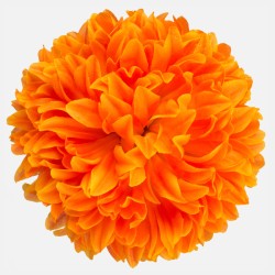 Artificial Chrysanthmeum Orange Heads Only 19cm - C199 EE2