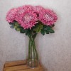 Artificial Bloom Chrysanthemum Mauve Pink 66cm - C022 D2