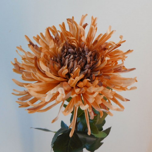 Artificial Fuji Mum Caramel 74cm - C245 D4