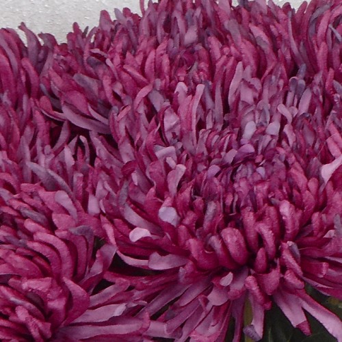 Artificial Fuji Mum Magenta Pink 74cm - C072 D1