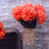 Pompom Chrysanthemum Carnival Orange 80cm - C137 D4