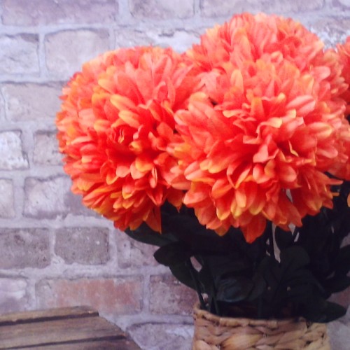 Pompom Chrysanthemum Carnival Orange 80cm - C137 D4