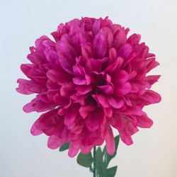 Pompom Chrysanthemum Dark Pink 80cm - C089 D3