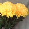 Pompom Chrysanthemum Carnival Yellow 80cm - C138 D4