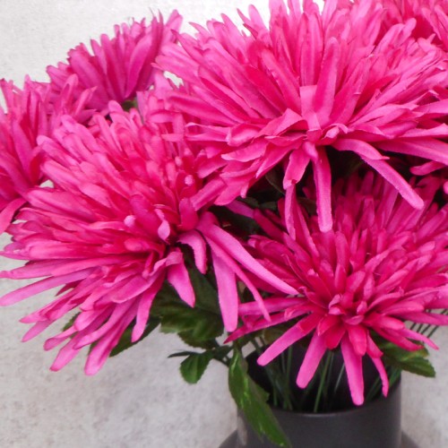 Artificial Spider Chrysanthemums Carnival Hot Pink 64cm - S072 