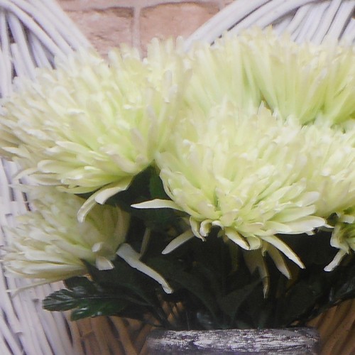 Artificial Spider Chrysanthemums Avocado Green 64cm - S135 S3 Artificial Spider Chrysanthemums Avocado Green 64cm - S135 S3