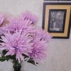 Artificial Spider Chrysanthemums Mauve with Green Leaves 64cm - S096 P4